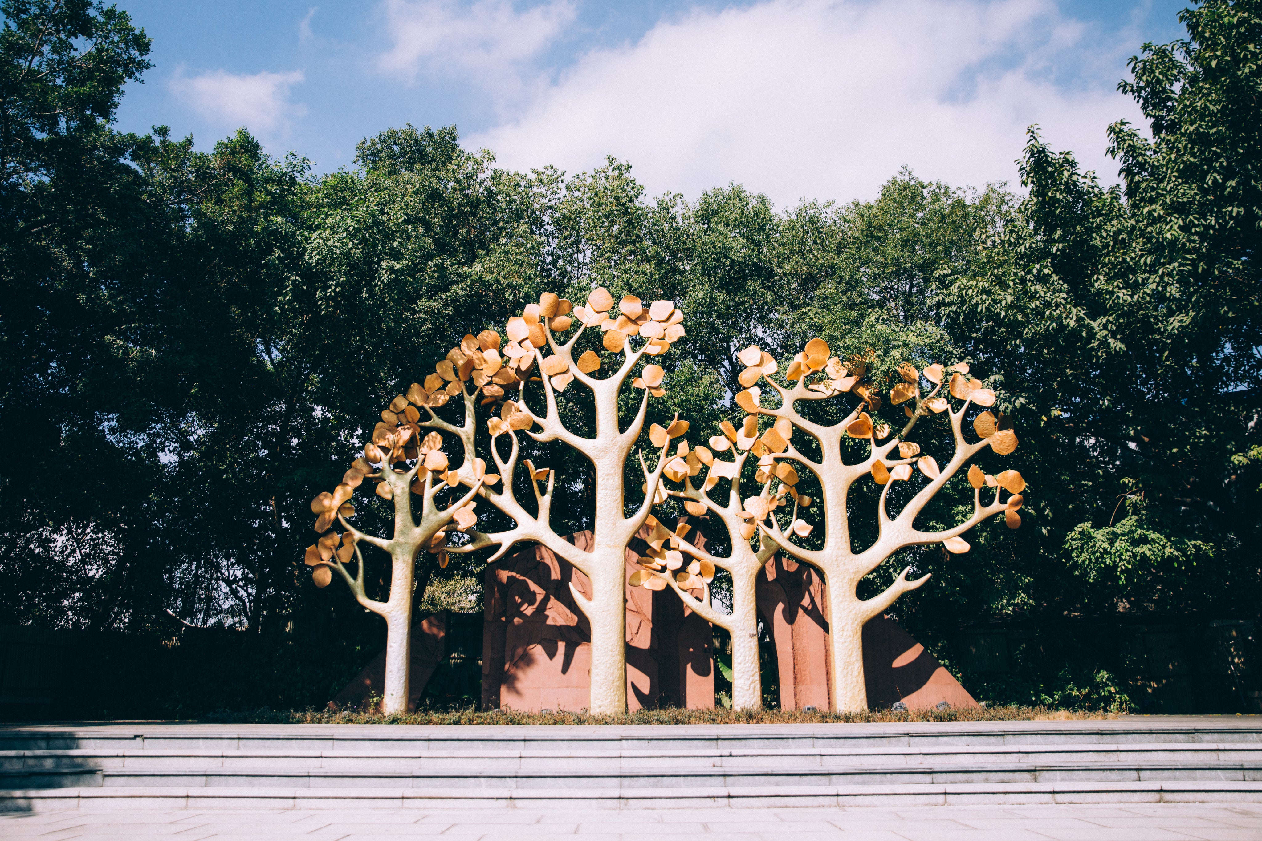 golden-and-green-trees.jpg