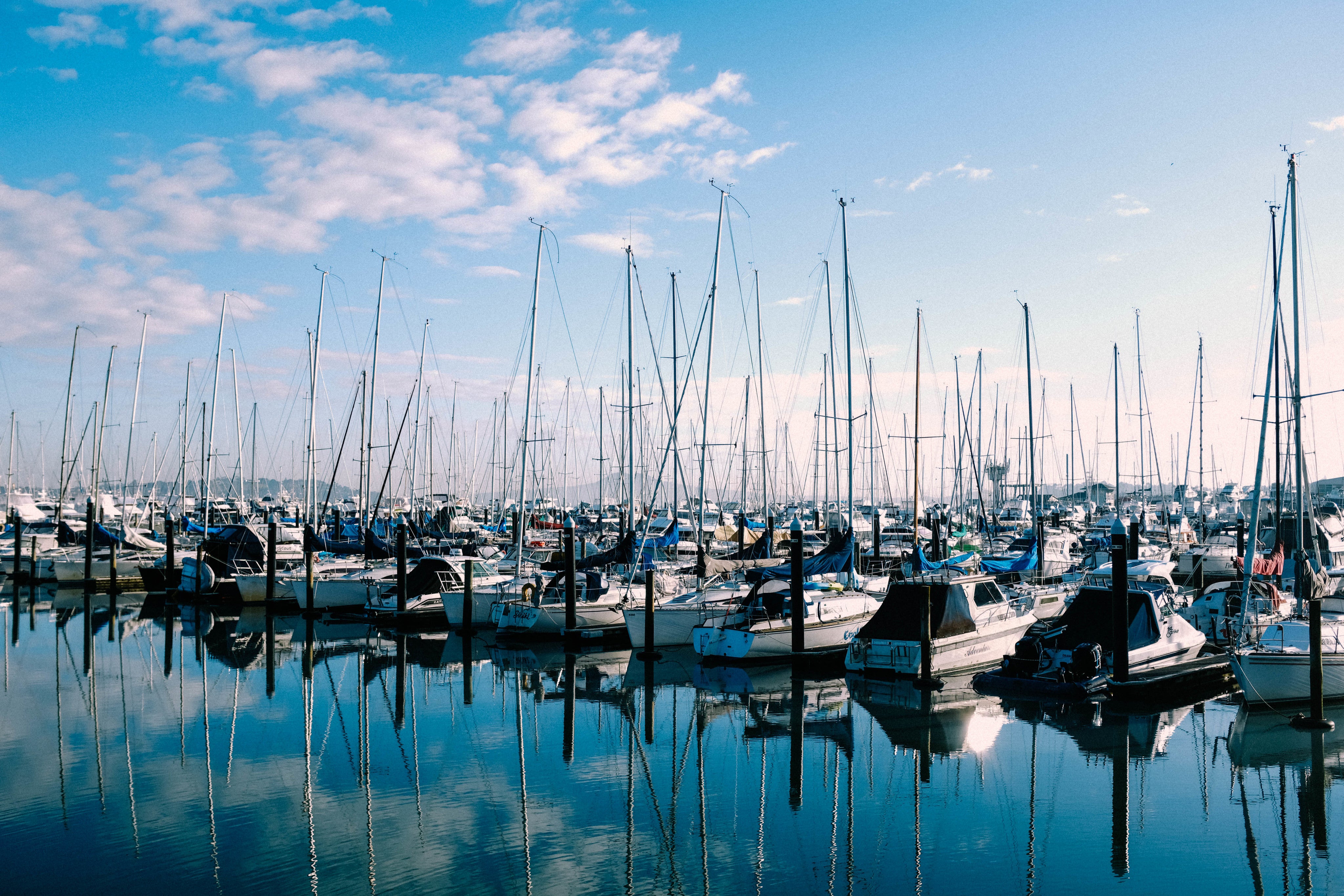 peaceful-marina.jpg