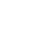 29.png