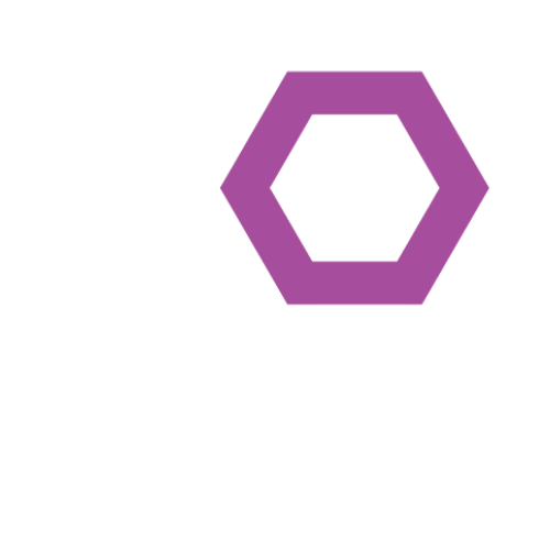 rapid fusion icon